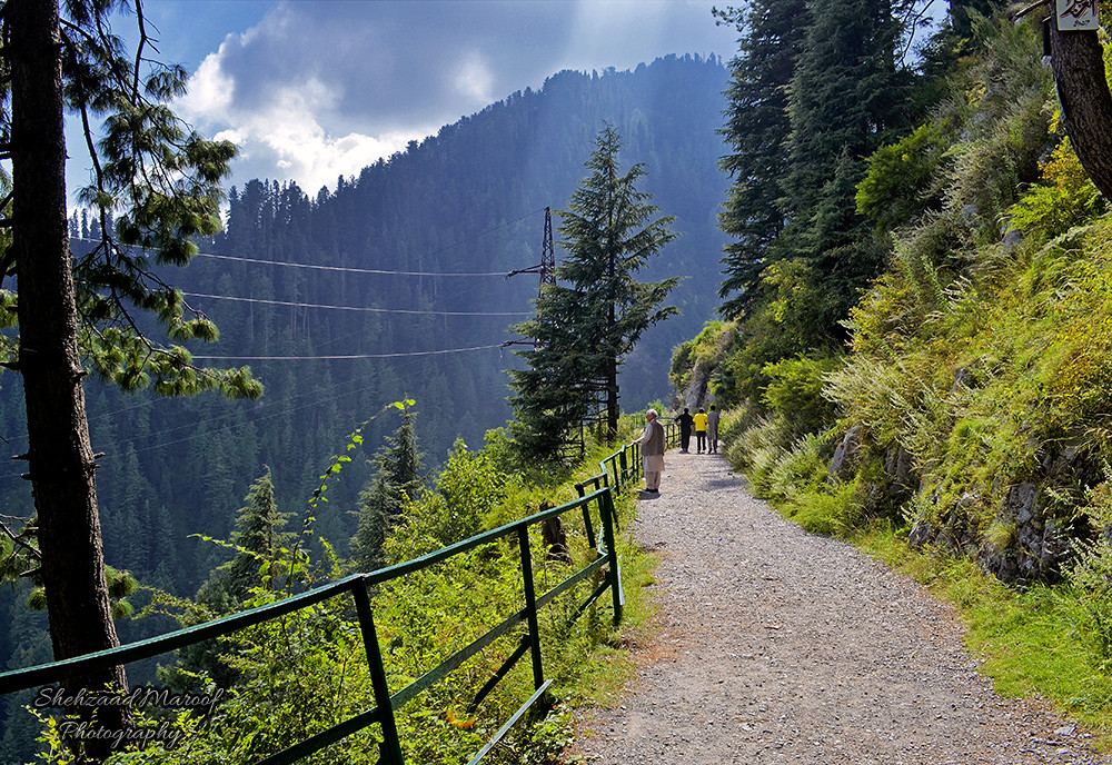 Ayubia National Park Nathiagali