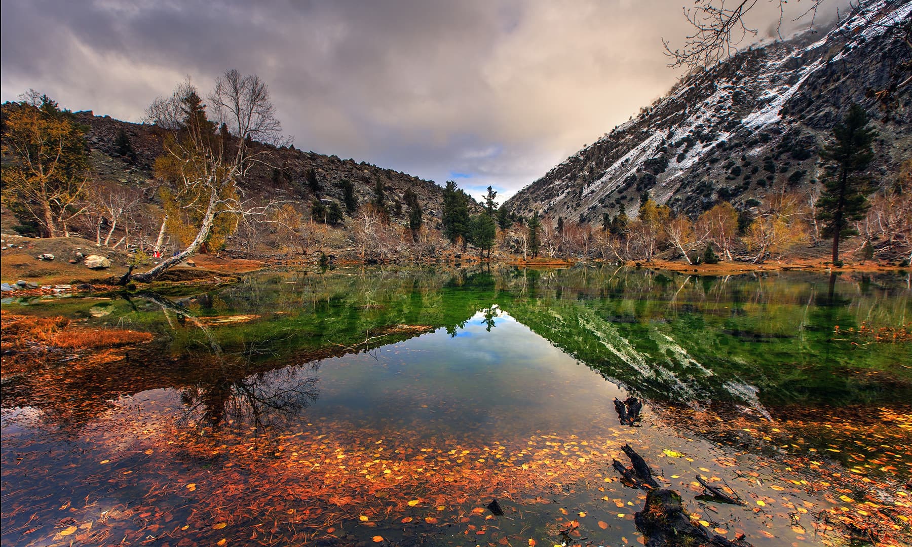 Naltar Valley