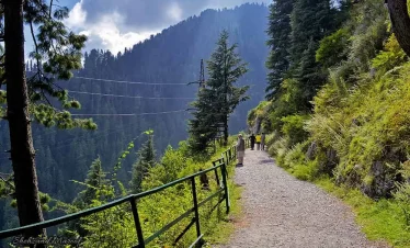 5 Days Tour Package To Nathiagali and Shogran