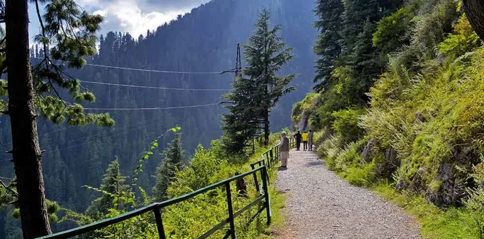 5 Days Tour Package To Nathiagali and Shogran