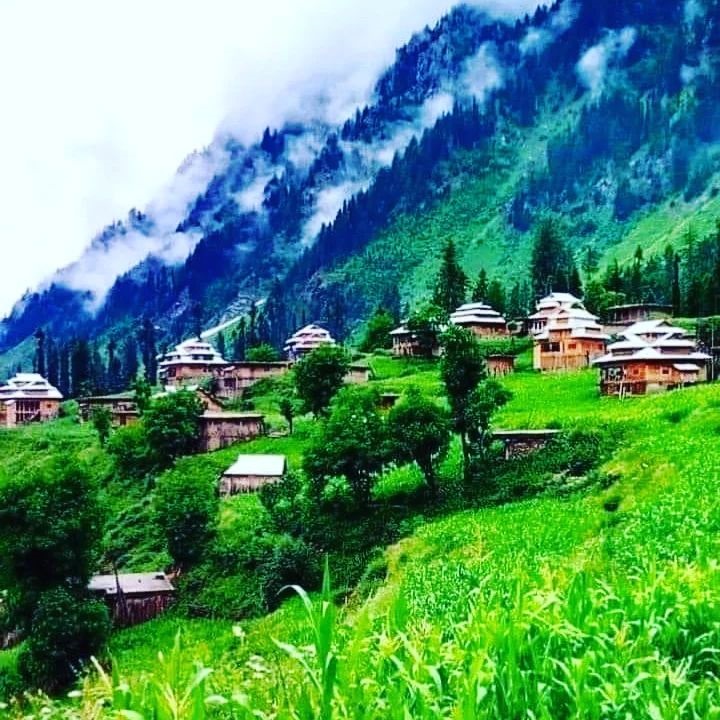 Neelum