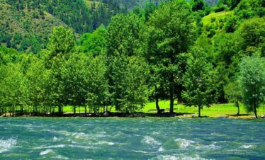 Neelum