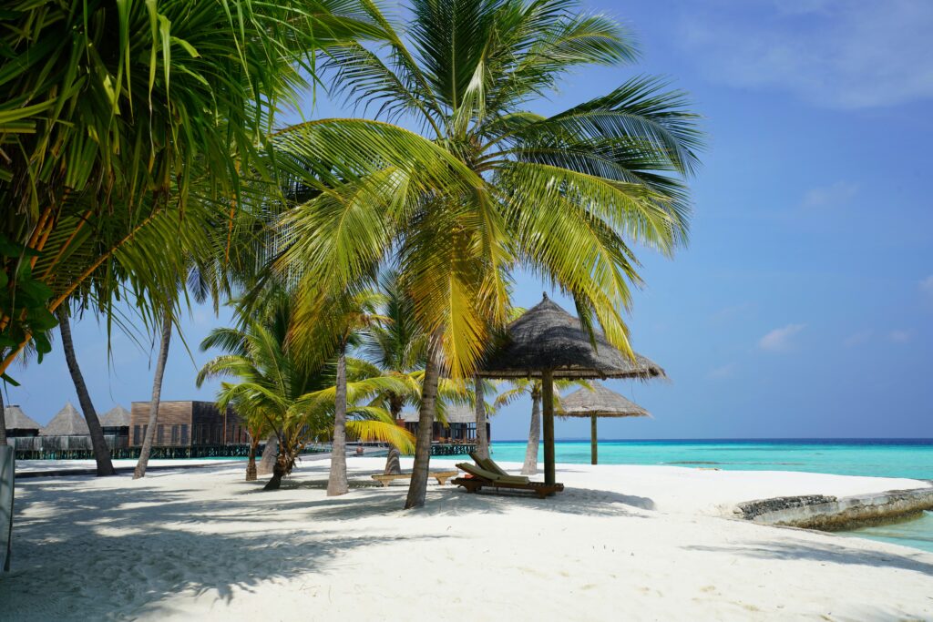 Maldives (3)