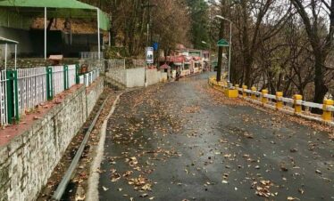 Muree,