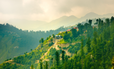 Muree Nature