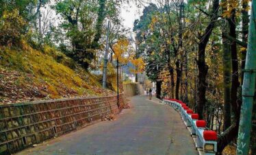 Muree