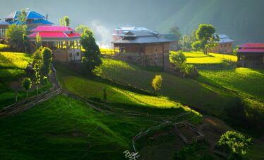 Sharda