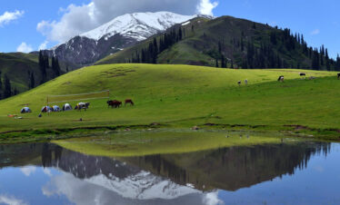 5 Days Tour Package To Shogran | Murree