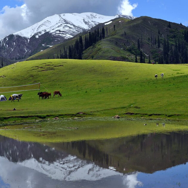 5 Days Tour Package To Shogran | Murree