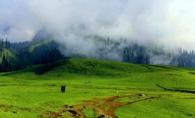 4 Days Tour Package To Shogran | Murree