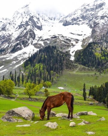 Neelum Valley