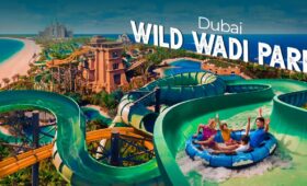dubai-wild-wadi-park