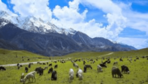 Chitral Tour Packages