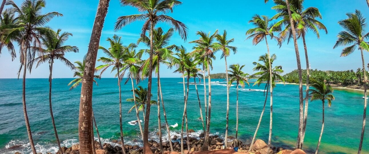 Sri Lanka Tour Packages from Pakistan