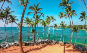 Sri Lanka Tour Packages from Pakistan